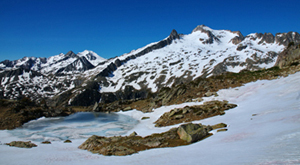 neouvielle