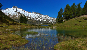 neouvielle