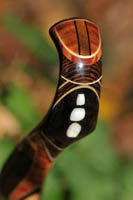 opinel custom