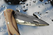 McGinnis Premonition Custom - Eric Baylac