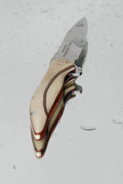 McGinnis Premonition Custom - Eric Baylac