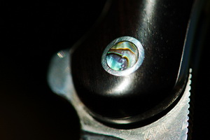 abalone