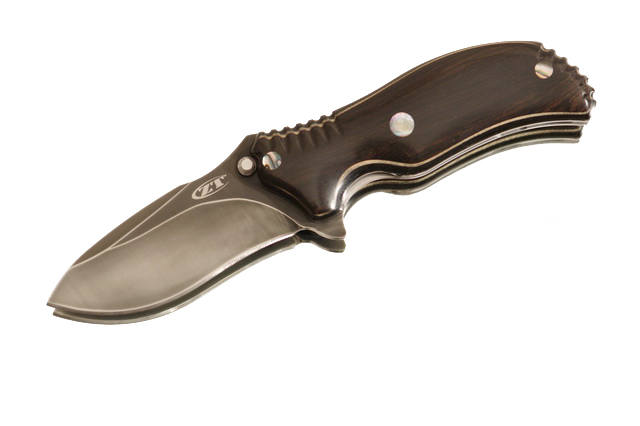 custom ZT - Baylac